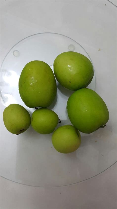 Level kualitas biji menentukan kualitas pohon. Buah bidara | Fruit, Food, Olive