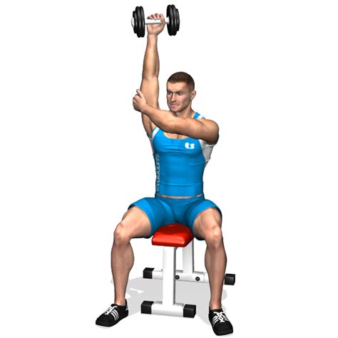 Seated Dumbbell One Arm Triceps Extension Involved Muscles During The