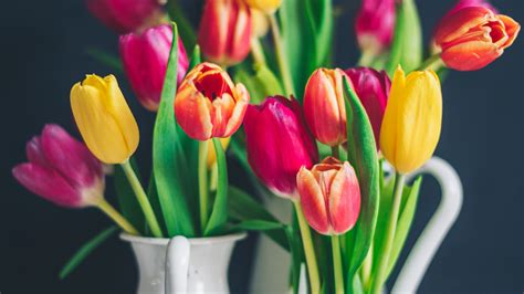 Download Wallpaper 3840x2160 Tulips Bouquet Colorful 4k