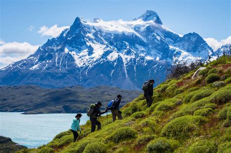 Patagonia Wilderness Adventure Wildlife Travel Holiday Voyage Nature