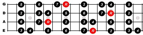 D Major Scale For Bass Constantine Guitars