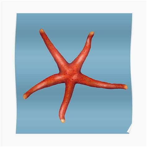 Blood Sea Star Poster By Squiddllr Redbubble