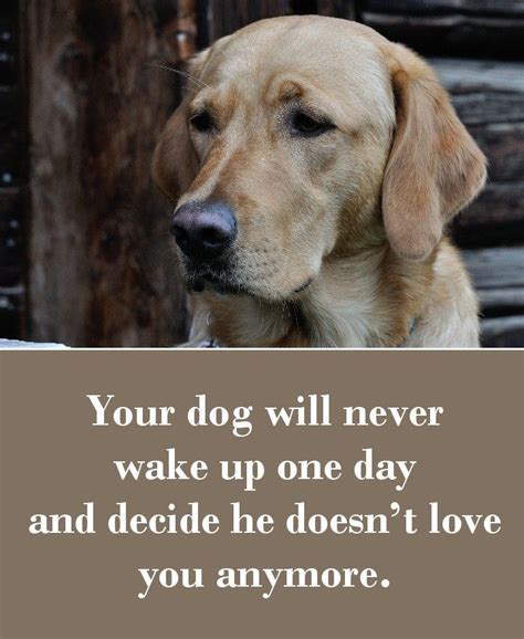 42 Dog Sayings Which Will Touch Your Heart Dog Quotes Dog Quotes