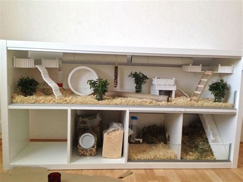 This Is The Most Amazing Hamster Cage I Have Ever Seen I Love The