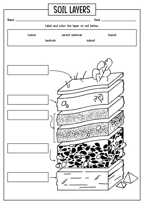 15 best images of worksheets on layers of soil