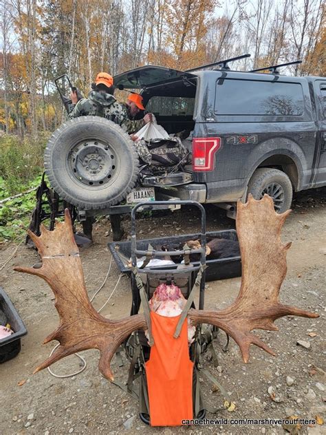 1 Maine Moose Hunt Packout Canoe The Wild