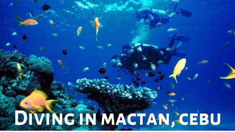 Diving In Mactan Cebu Youtube