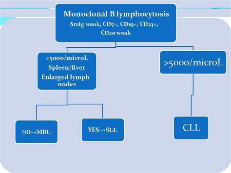 Chronic Lymphocytic Leukemia Chronic Lymphocytic Leukemia Small