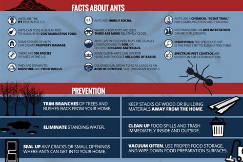 Use your website's content to get more pest control customers and set yourself apart as a local authority. This is How You Get Pest Control Leads: Marketing Ideas ...