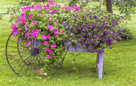 Maybe you would like to learn more about one of these? 27 Wheelbarrow Flower Planter Ideas for Your Yard