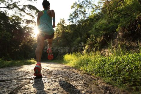 Runner Athlete Running On Forest Trail Stock Photo Image Of Active