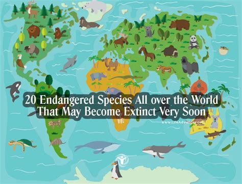 20 Endangered Species All Over The World That May Become
