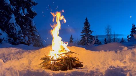 🔥 Winter Campfire ️ Trees Heavy With Snow 🌲 Local Firewood 🌓moon The