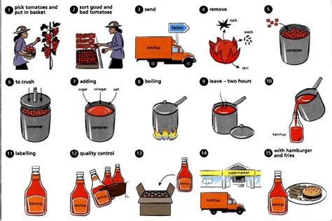 The Diagram Below Shows How Tomato Ketchup Is Made Commercially Ielts Training Tips Ielts