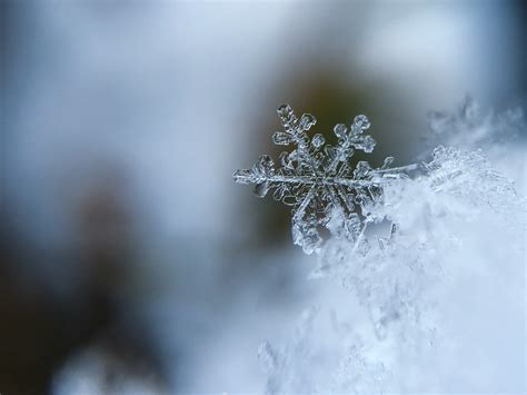 How To Photograph Snowflakes Step By Step Guide Photography Revision