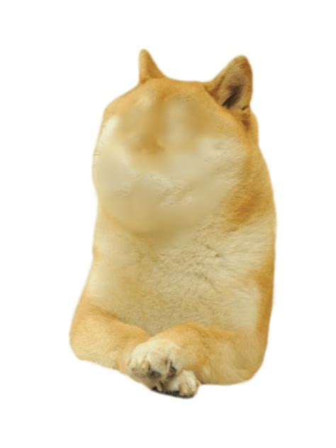 Original file at image/png format. Download Doge Face Png | PNG & GIF BASE