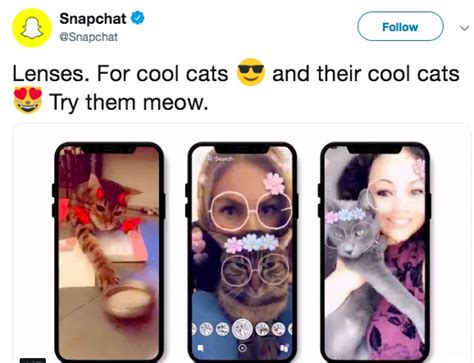 Snapchat Added New Selfie Filters For Your Cat