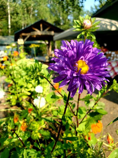 Get Involved – Willow Springs Creative Centre