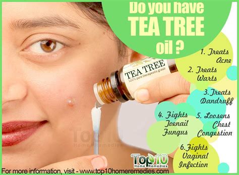 More Info On Tea Tree Oil Benefits Diffuser Il מגזין מסעדנות ומוצרי מטבח