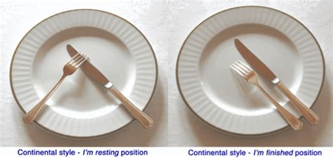Basic Dining Etiquette Using A Knife And Fork Pairedlife