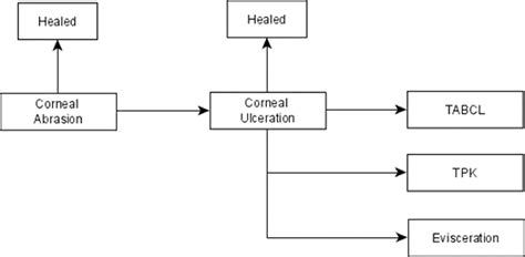 Early Treatment Of Corneal Abrasions And Ulcersestimating Clinical And