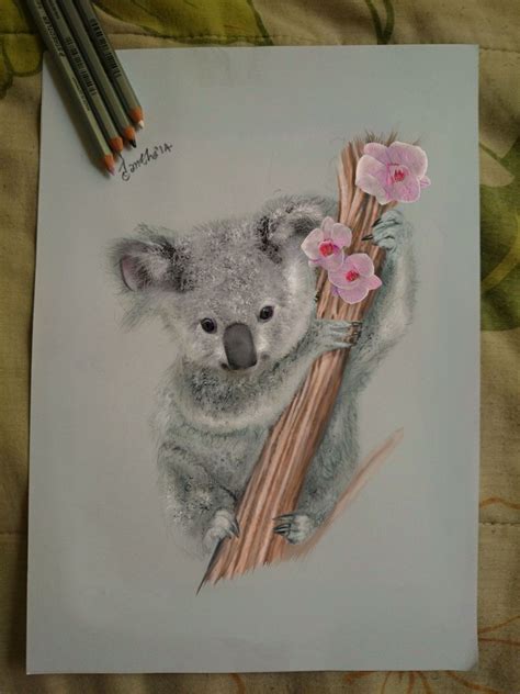 We did not find results for: My drawing_ A koala awww | Koala drawing, Koala tattoo ...