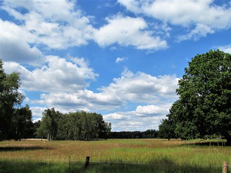 Free Images Tree Meadow Heather Sky Cloud Natural Landscape