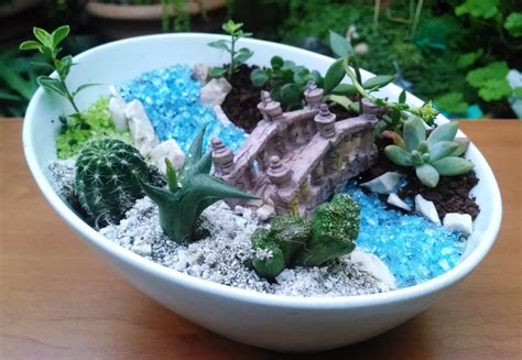 See more of mini jardines de suculentas y cactus pacc on facebook. Kaptus El Salvador: Mini Jardines de cactus y plantas ...