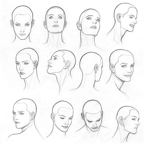 Frank Cho On Instagram “woman Head Model Sheet A Model Sheet That I