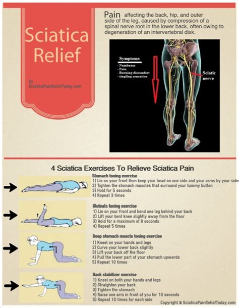 You may be tempted to stay sciatic pain can be caused by the nerve becoming pinched or compressed by discs in the lower back and hips. 4 Sciatica Exercises To Relieve Sciatica Pain | Visual.ly