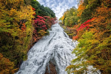 Autumn Forest Waterfall In Japan 4k Ultra Hd Wallpaper Background