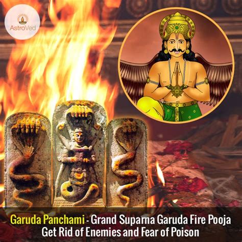 When shravan masa comes, pet line festivities begin. Significance and Benefits of Garuda Panchami - AstroVed ...