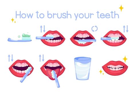 Brushing Teeth Steps Images Free Vectors Stock Photos And Psd