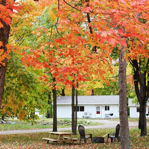 Best Places To See Fall Colors In Minnesota Lake Mille Lacs Red