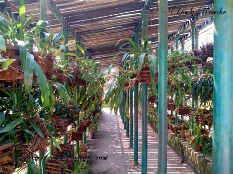 A 2.5 storey modern designed house is for sale in… new house sale in dahachowk. Godawari Botanical Garden - Nepal