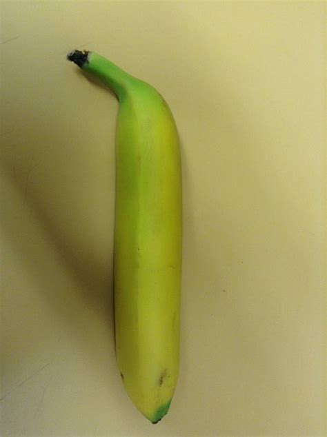 This Banana Is Almost Perfectly Straight Rmildlyinteresting