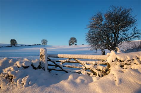 Snow Hits The Uk In Pictures World News The Guardian