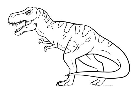 Tyrannosaurus Rex Coloring Page Line Art Illustrations