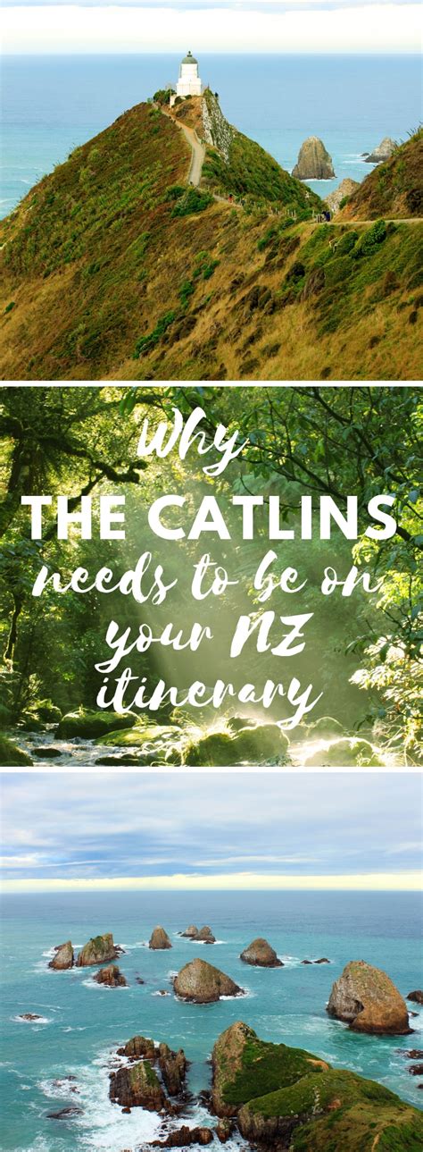 9 Beautiful Places To Go In The Catlins New Zealand Simply Wander