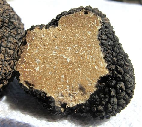 5 Fun Facts About Truffles