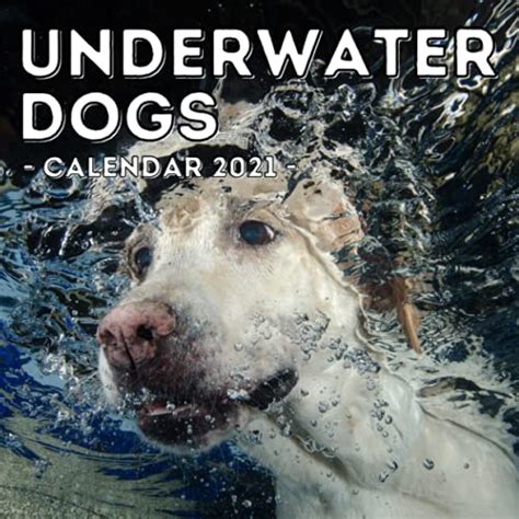 Underwater Dogs Calendar 2021 16 Month Calendar Gag T Idea For Dog