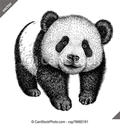 Black And White Engrave Isolated Panda Vector Illustration Black And