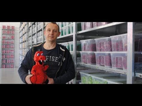 Buying, selling, collecting on ebay has never been more exciting! PATSONBRICKS: Roadtrip to Figs and Bricks - YouTube