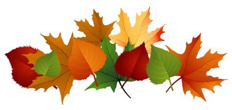 Free Fall Leaf Transparent Background Download Free Clip Art Free