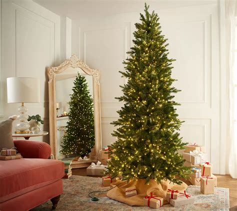 Qvc Santas Best Alberta Spruce Starry Light Wrgb Christmas Tree