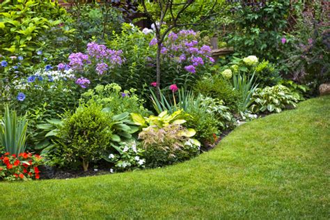 Both types also provide a bevy of valuable services such as keeping weeds at bay and slowing down water evaporation in the soil. 'Mulch' Ado About Nothing? The Pine Straw vs. Bark Debate