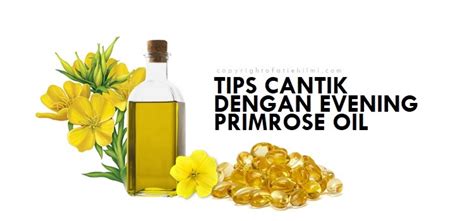 Evening primrose oil linoleic acid: KEBAIKAN MINYAK EVENING PRIMROSE ( EPO ) UNTUK KESIHATAN ...