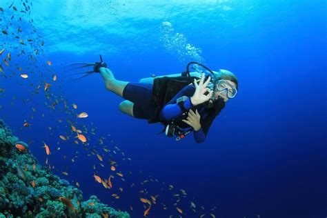 Discover Scuba Diving With 2 Dives On Koh Tao Koh Samui Tailandia