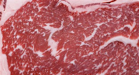 Wa significa armonía pero es una palabra tambien que puede. ¿Cómo es la carne de wagyu, la más cara del mundo? | Hosteleriasalamanca.es