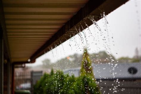 Common 4 Reasons Why Gutters Overflow Urban Splatter